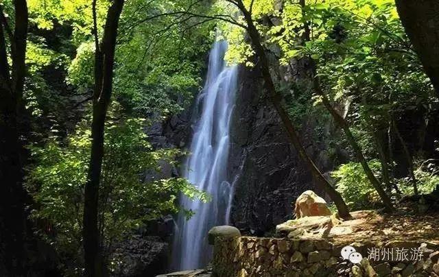 三亚近海发现蓝瓶僧帽水母,专家解答:该物种并非剧毒僧帽水母,提醒游客不要随意触碰